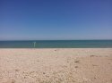 0_3907117_444762.jpg